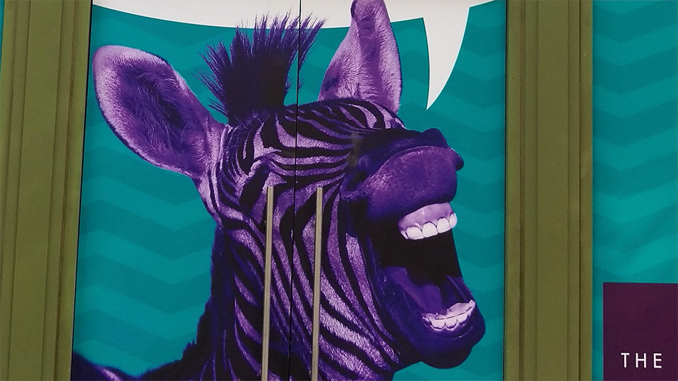 Purple Zebra Coming (Back) to LINQ and Open at RIO •
