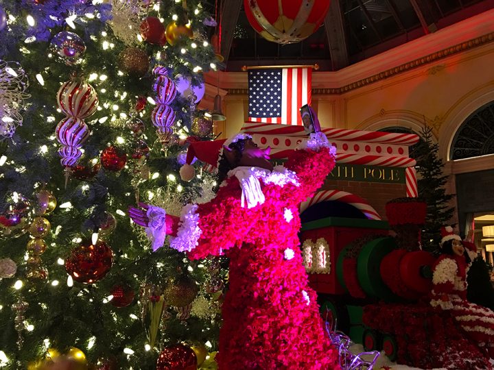 2016 Bellagio Conservatory Holiday Show